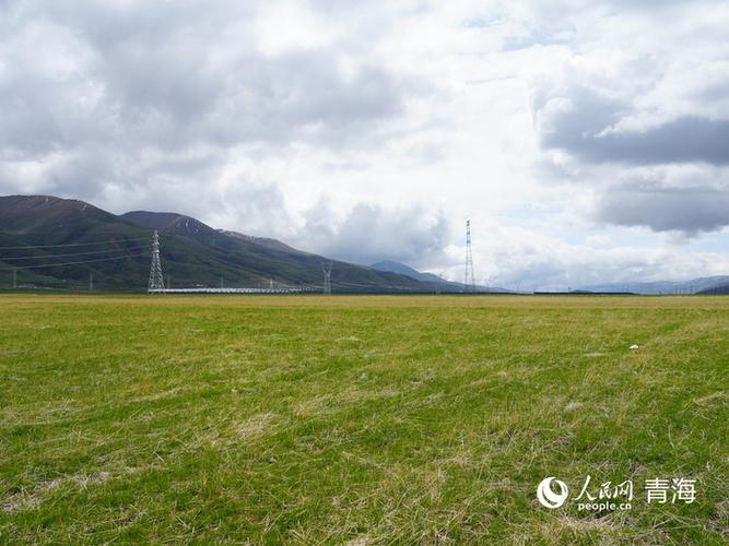 苹果手机掉地上内屏有绿线截图