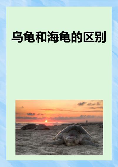 我的世界海龟不下蛋截图
