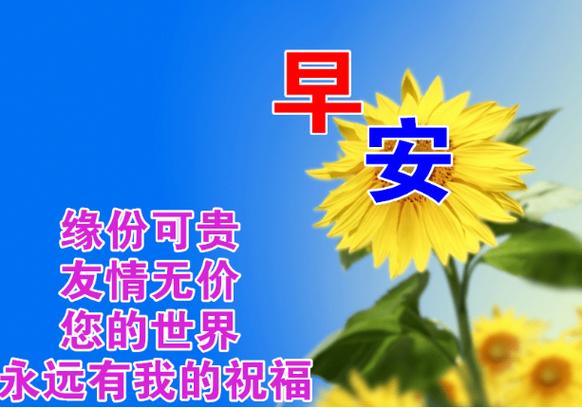 经典心语句子缩略图