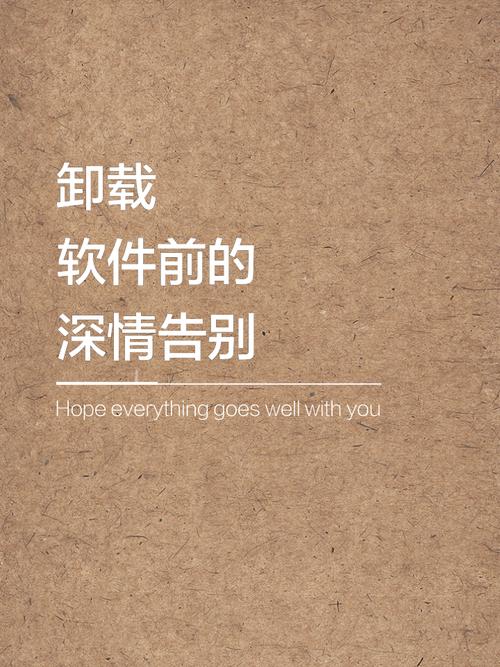 查看最近卸载的应用图标