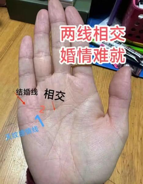 感情线分叉游戏截图