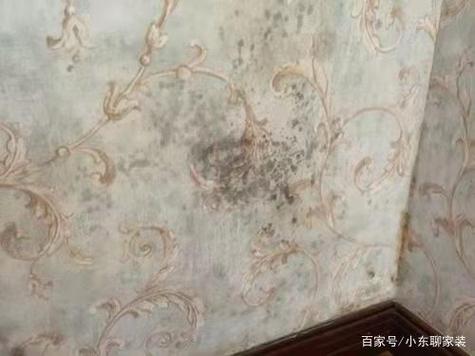 墙纸脱胶了用什么胶粘最好缩略图