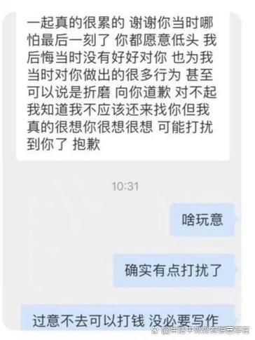 前任说我发消息打扰他了怎么回复截图