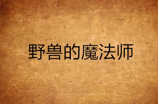 类似野兽的魔法师截图