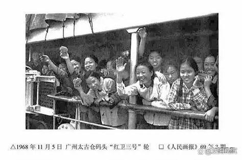 红卫女的结局截图