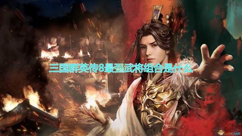 三国群英传8最强搭配