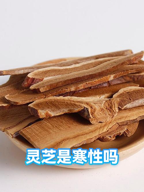 灵芝能活血化瘀吗