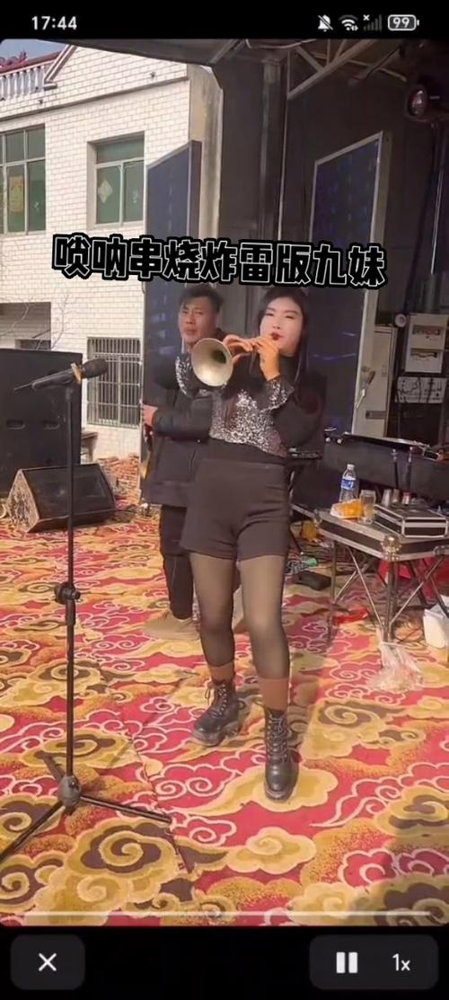 唢呐串烧DJ炸雷完整版缩略图