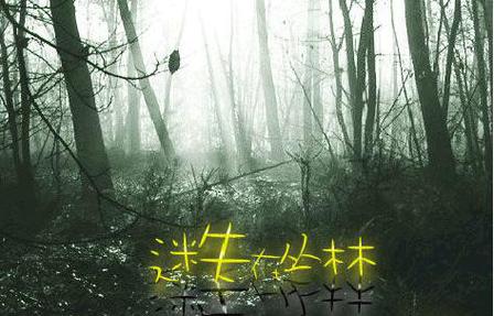 昏暗丛林隐藏地点在哪截图