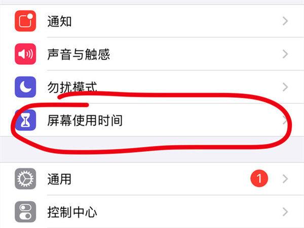 苹果六访问限制密码是多少截图