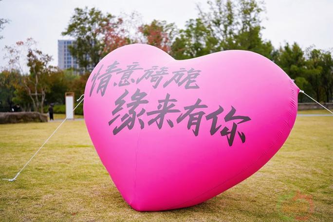 十大相亲平台排行榜图标