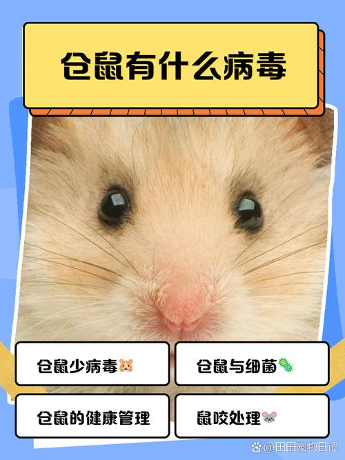 仓鼠死掉了会有病毒吗?截图