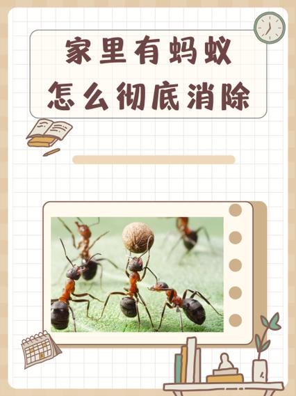 家中小蚂蚁怎么彻底根除图标