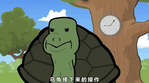 乌龟衣服
