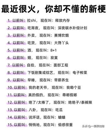 网络热梗大全截图