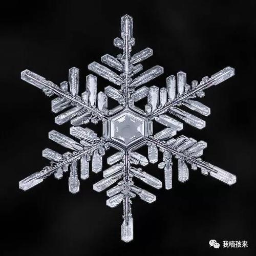 雪花直装v3.0免,创造与魔法