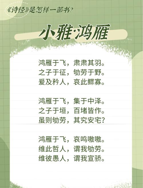 鸿雁小说全文免费阅读
