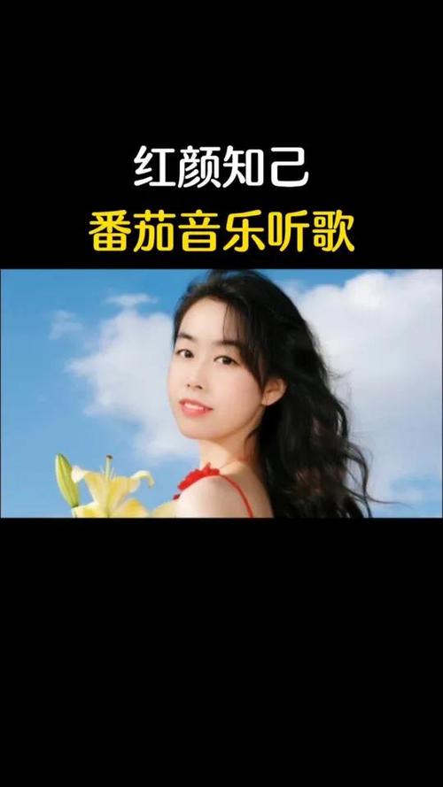 番茄歌曲大全100首图标