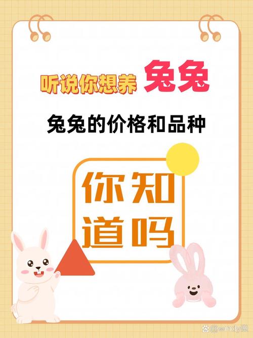 兔子销售广告截图