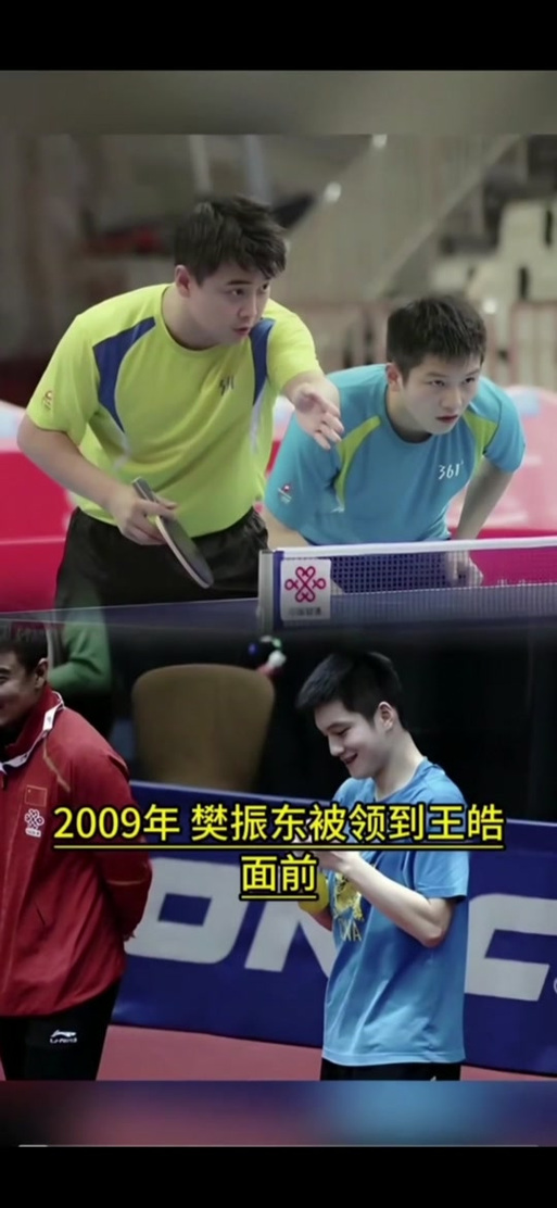 樊振东vs王皓游戏截图