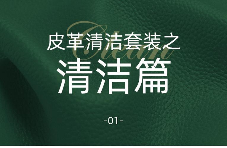 真皮脏了该用什么擦干净缩略图