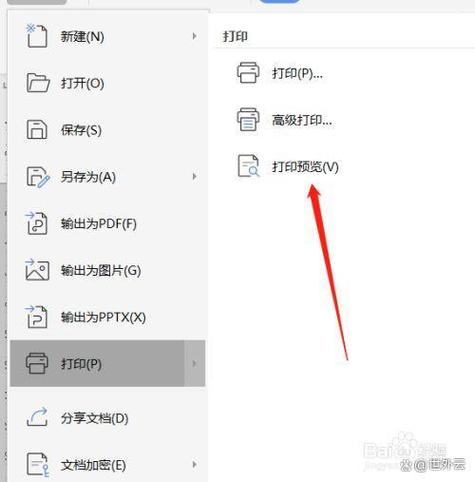 文档怎么打印预览游戏截图