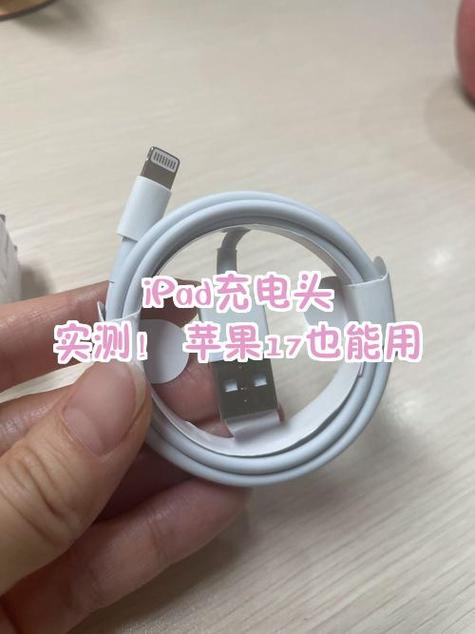 ipad可以边用边充电吗