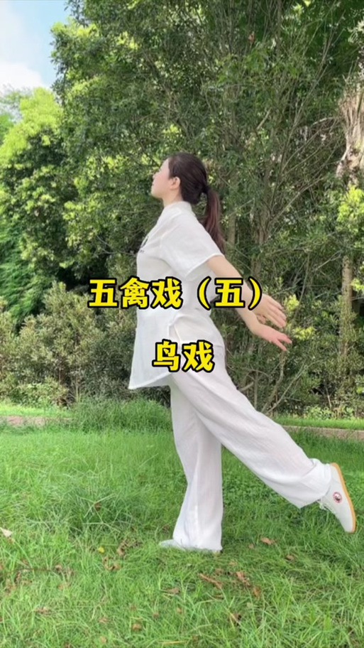 五禽戏全套演练视频截图