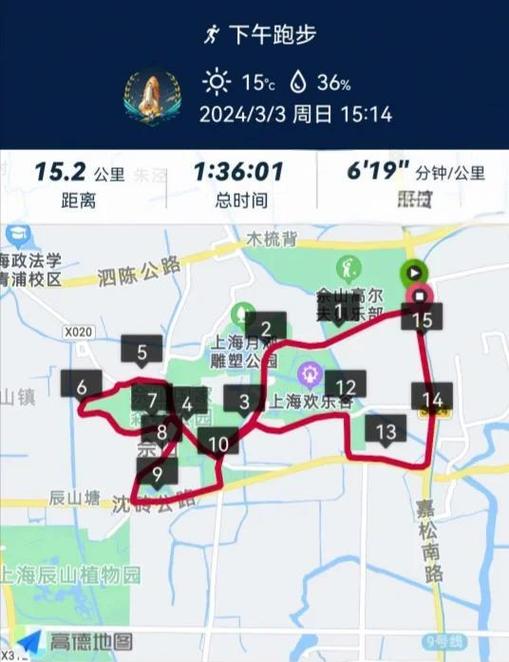每天运动轨迹怎么查