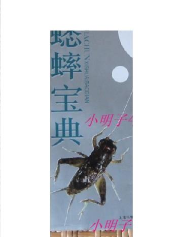 别人蛐蛐你怎么骂回去缩略图