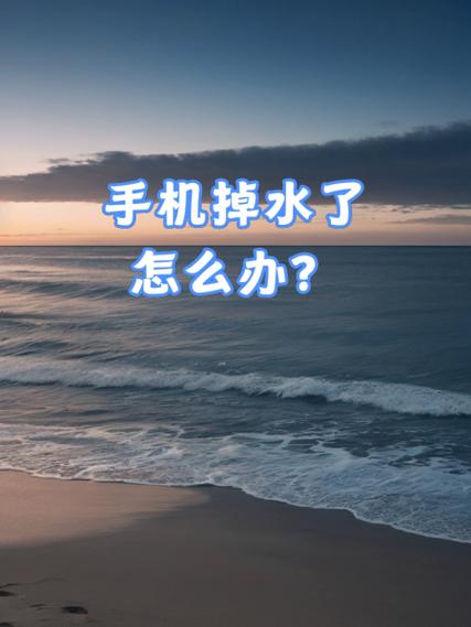 手机掉下水怎么办截图
