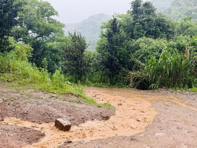 山路漫漫雨纷纷