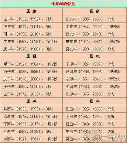 免费八字算命查询图标