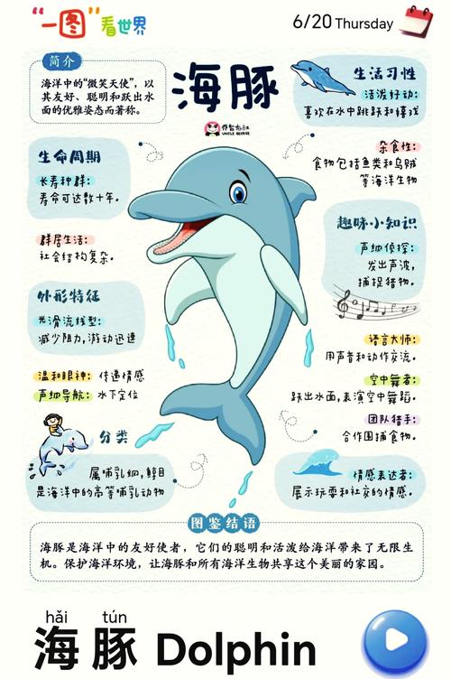 海豚模拟器缩略图
