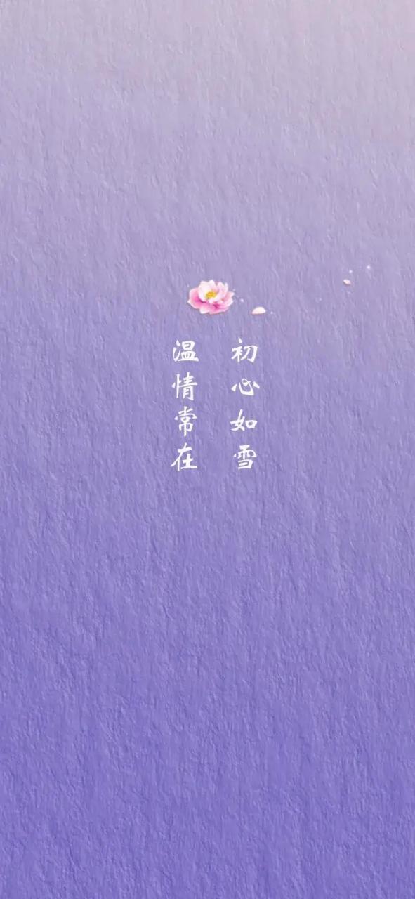 朋友圈紫色的句子