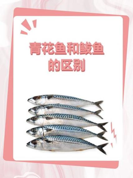 青鱼好还是青花鱼好截图