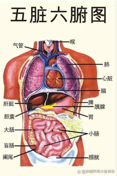 电脑左上角出现FHN缩略图