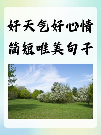 久违的好天气的说说图标