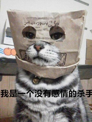 一个男生说没有喜欢的女生缩略图