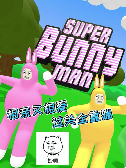 疯狂兔子人四人版