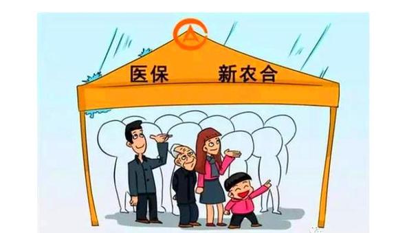 2026年新农合收费标准是多少钱游戏截图