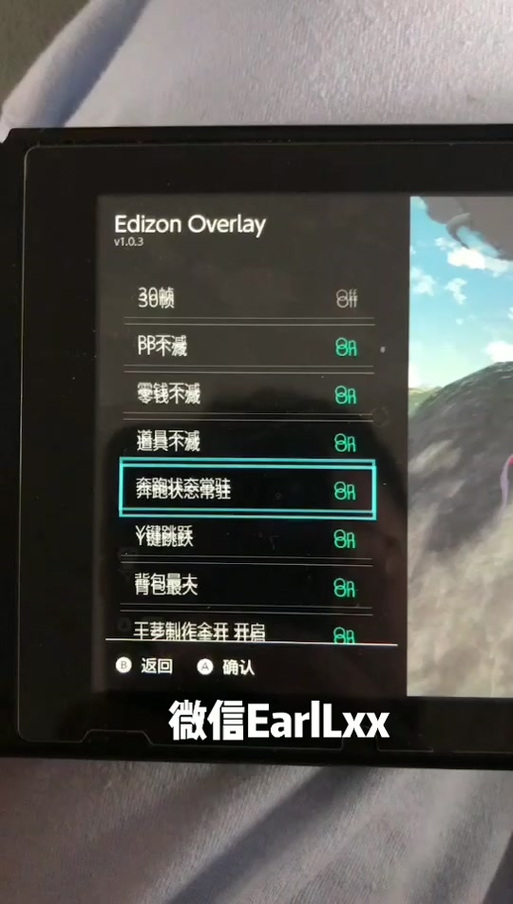 switch破解版金手指放哪里截图