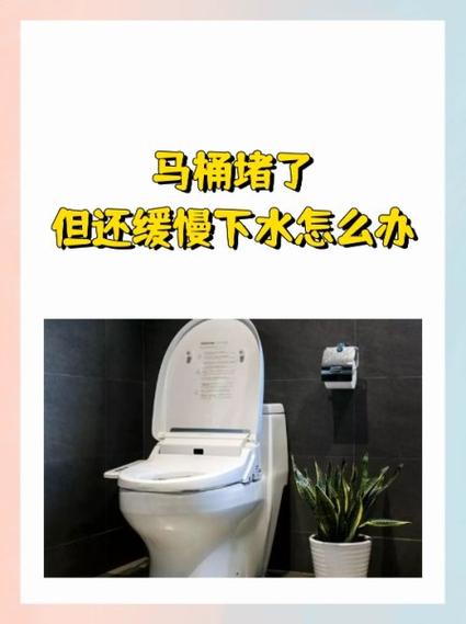 马桶一坐下就冲水,但马桶下水慢