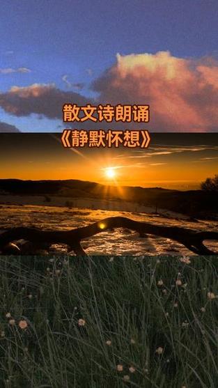 部分关闭文本朗读截图