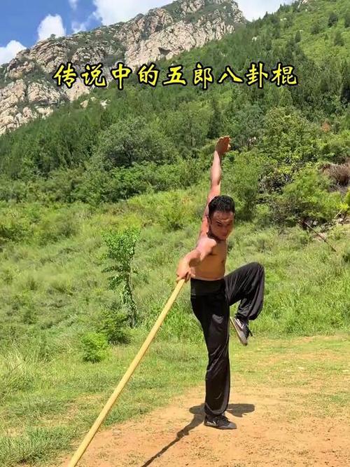 达摩棍法教学视频截图