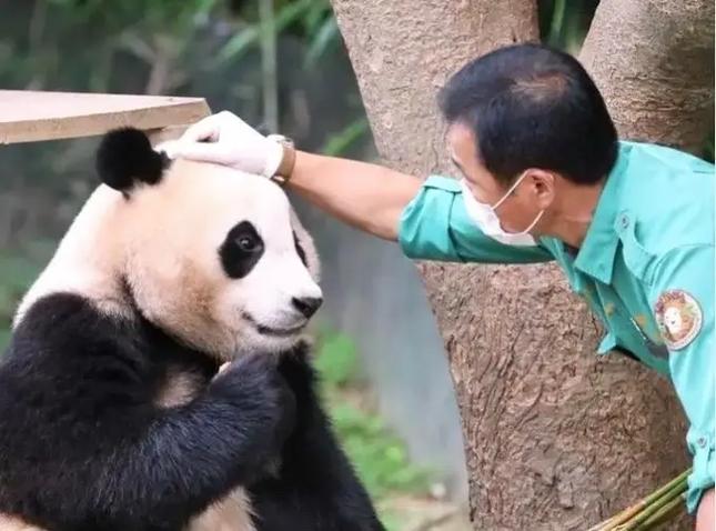 熊猫看书免费阅读器