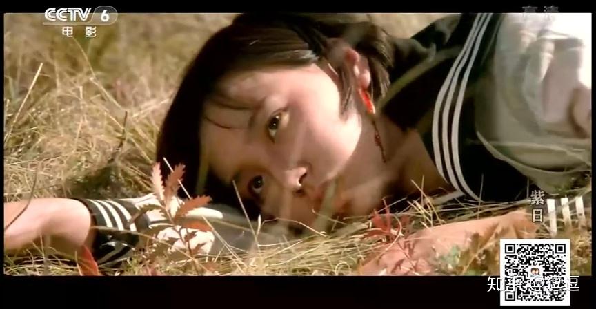 紫日三部曲是哪三部缩略图
