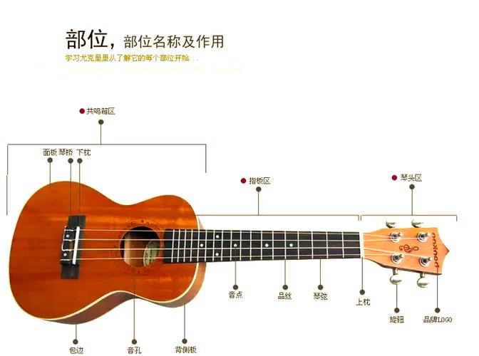 吉他入门零基础自学缩略图