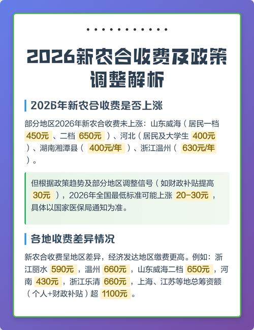 2026新农合缴费价格表缩略图