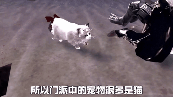 圣火喵喵教的三种口号图标